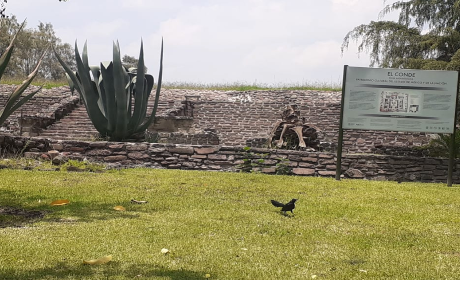 La Pirámide del Conde vista alterna